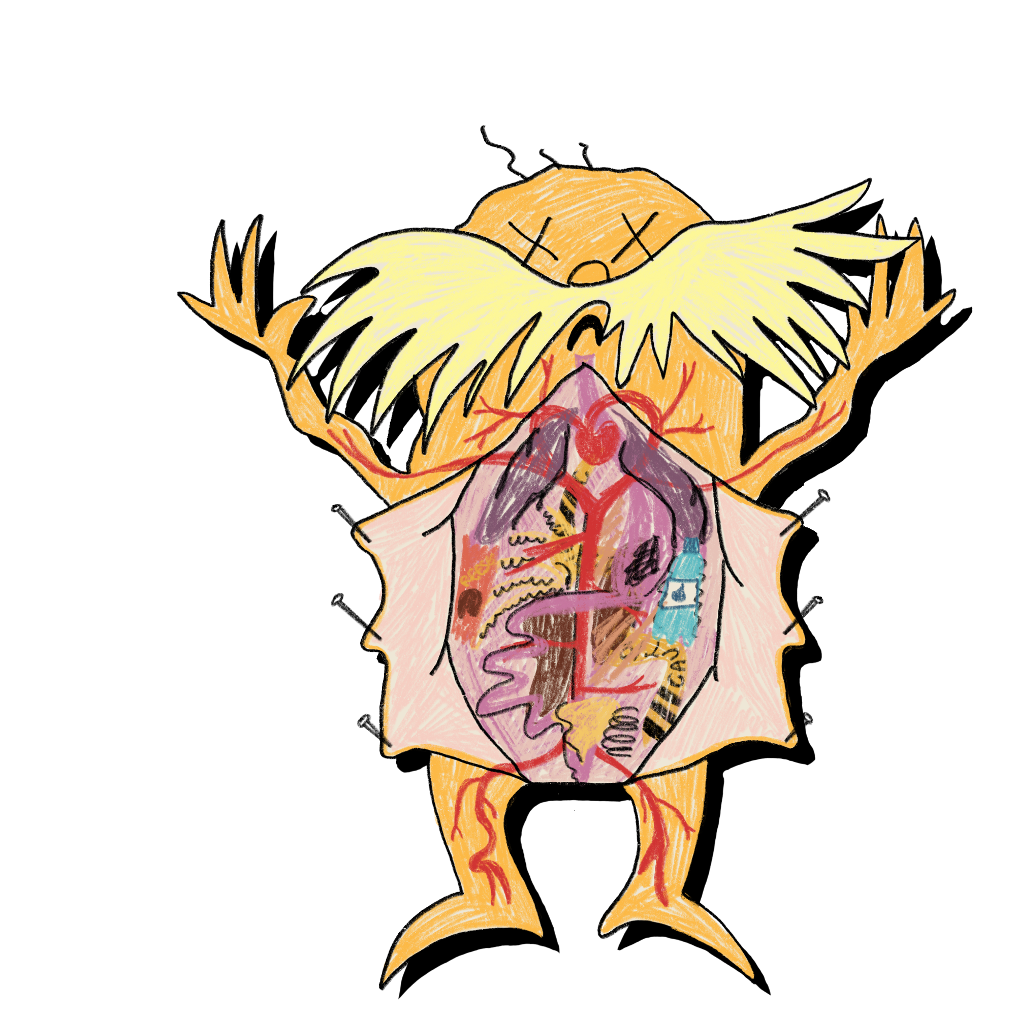 a drawing of the lorax cut open in a dissection